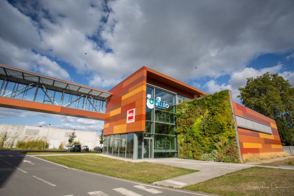 Projets entreprises et communication